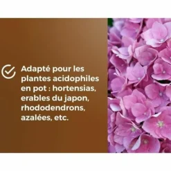 Sale Potting compost OR BRUN 6 L Jord & Sand