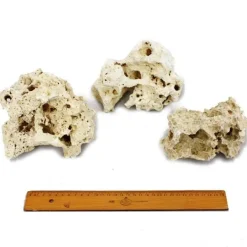Sansibar Rock Gr. L 18-22 cm