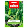 SEMI BIETA VERDE COSTA ARGENTO BLUMEN Fröer & Lökar