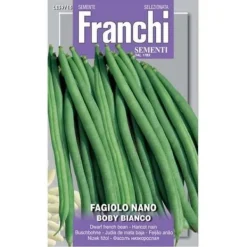 Hot SEMI FAGIOLO NANO BOBY BIANCO FRANCHI SEMENTI Fröer & Lökar