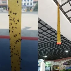Skadedjursfälla, 4 st Dubbelsidiga flugtejper Insektsfluga pappersremsor Hushållslim flugfälla [F814886485]