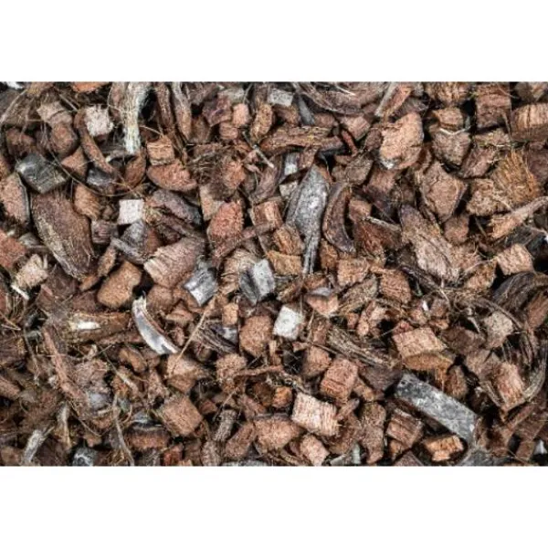 Soilico CocoBase GROV 3l