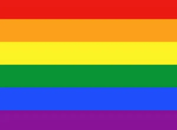 New Stor Prideflagga / Regnbågsflagga Flaggor & Vindstrutar