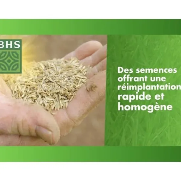 Online Torr Ground Replenishment Lawn - BHS - 1kg | 40 m² | Stark och hållbar, med utmärkt hållbarhet och tolerans mot tramp. Jord & Sand
