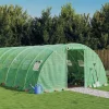 vidaXL Växthus med stålram grön 48 m² 12x4x2 m - Växthus
