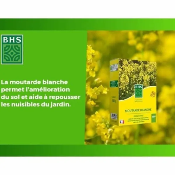 Växtgödsel BHS 500 g