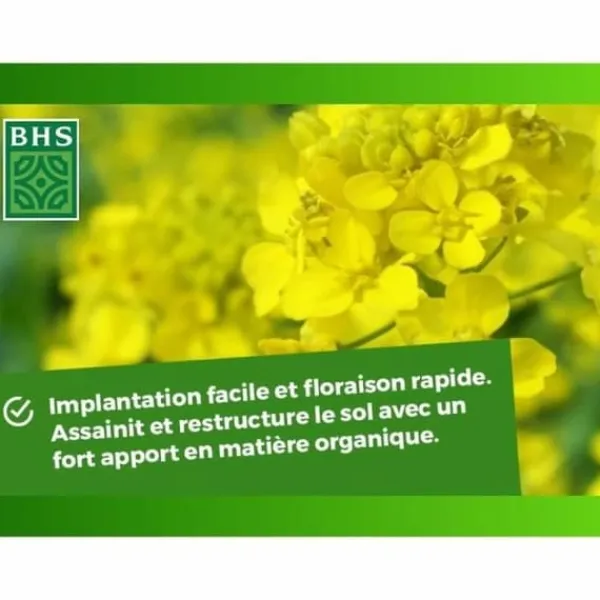 Växtgödsel BHS 500 g
