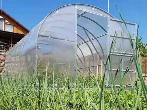 Sale Växthus Klasika 3x6m med 6 mm polykarbonatbeläggning Växthus