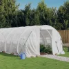 vidaXL Växthus med stålram vit 72 m² 24x3x2 m