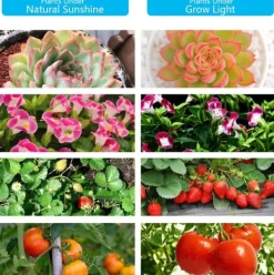 Online Växtlampa / växtbelysning med 4 flexibla LED lysrör 1-pack Kit För Växt- & Örtplantering
